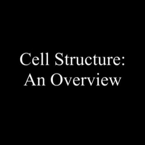 EDIT 202-sample cell video