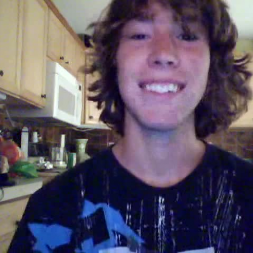 3.02 describe the family visual activity