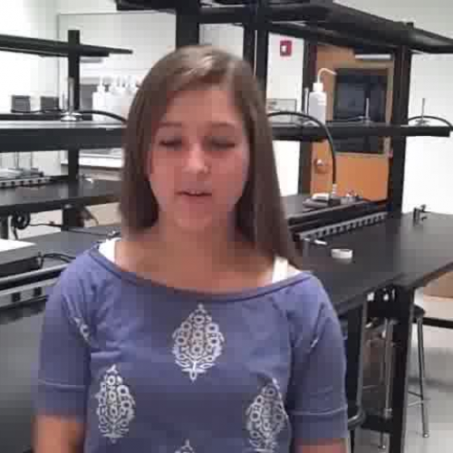 Enzymes &amp; Biofilms Research Project