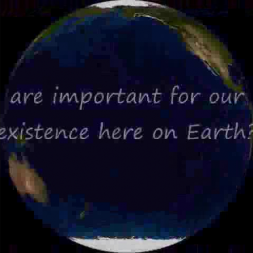 Why Plants Are Important