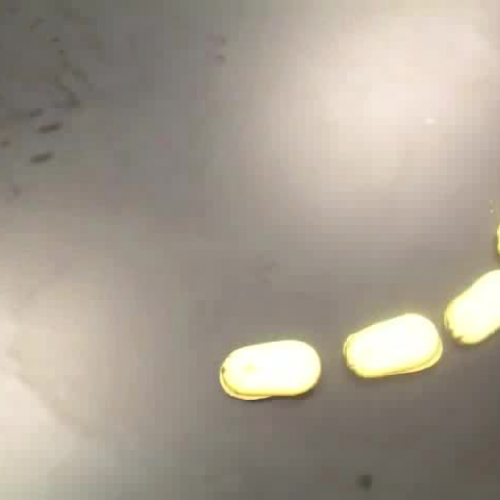 Mitosis Stop Motion Video