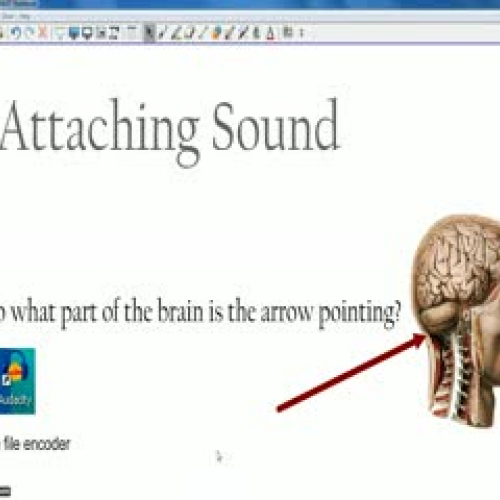 Attaching Sound in SMART Notebook