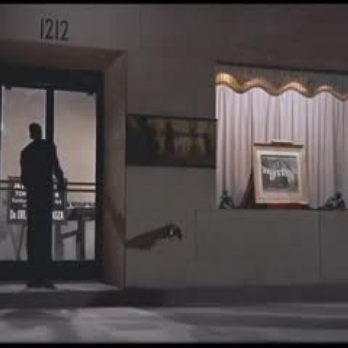 point of view in "North by Northwest