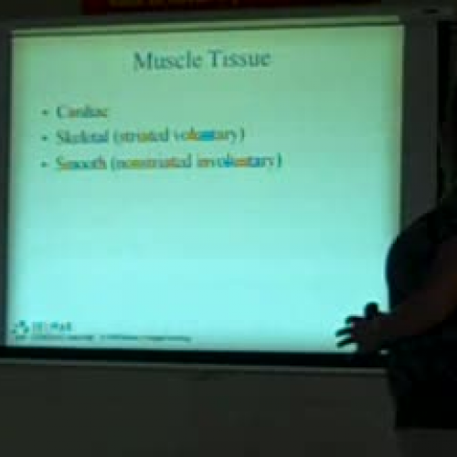 Body Systems Lec. 8-25-11