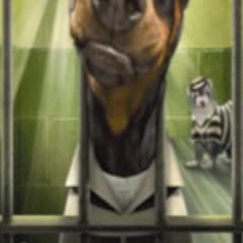 Framed by Gordon Korman