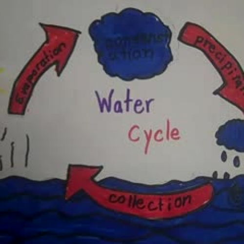 The Water Cycle