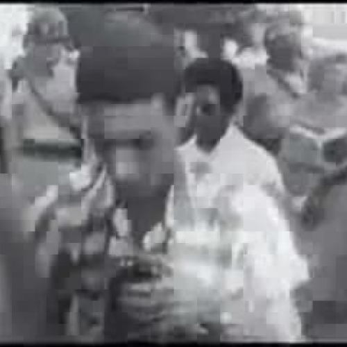 Elizabeth and Little Rock Nine