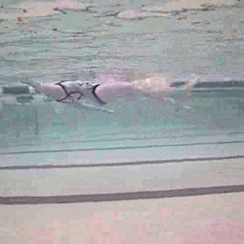 Shamrock underwater swim analysis