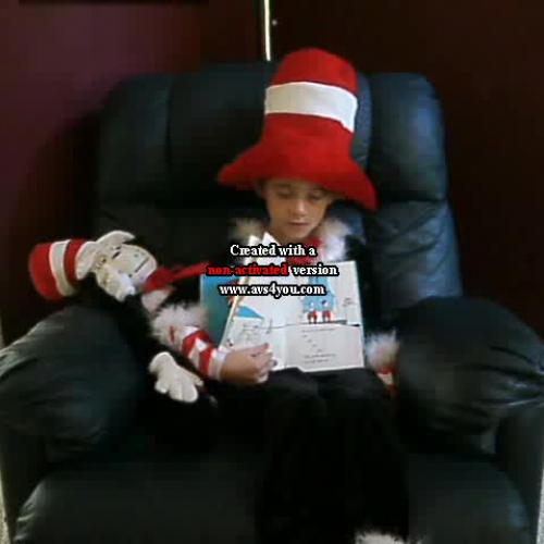 The Cat in the Hat Book Talk