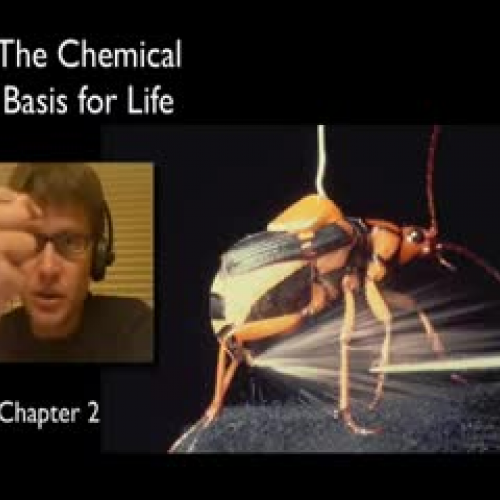 Bozeman Science - The Chemistry of Life