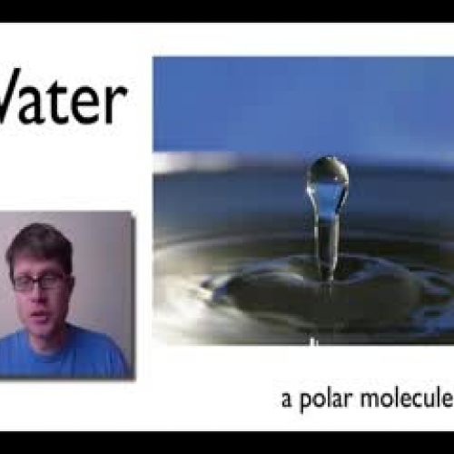 Bozeman Science - Water A Polar Molecule