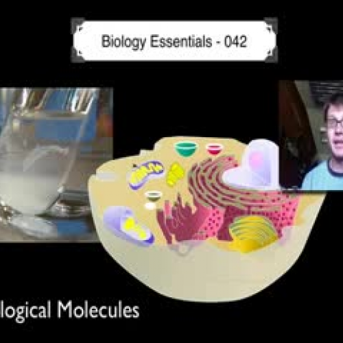 Bozeman Science - Biological Molecules