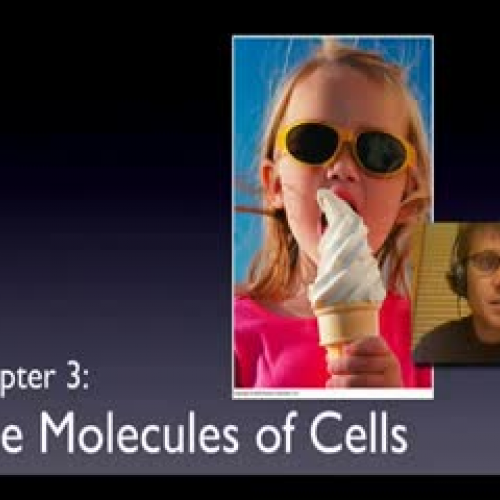 Bozeman Science - Molecules of Cells