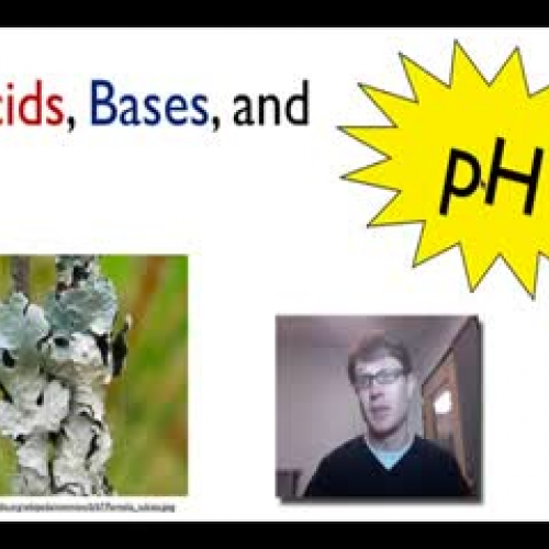 Bozeman Science - Acids, Bases and pH