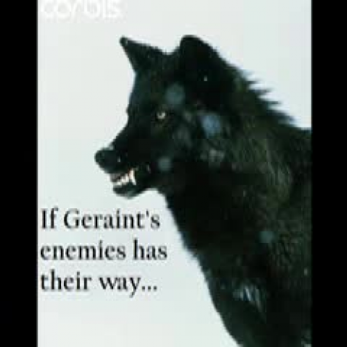 Kristen's Wolfborn Trailer