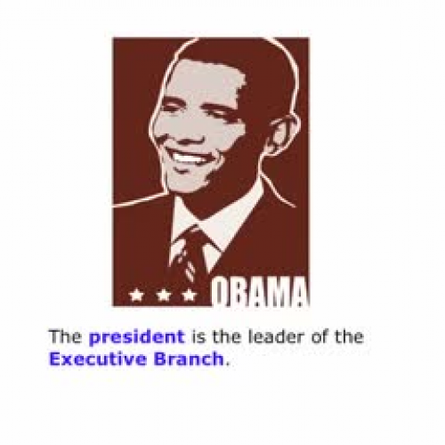 The Powers of President