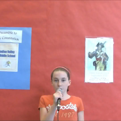 IVMS-US Constitution PreAmble