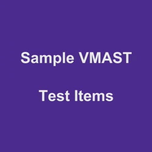 VMAST Overview
