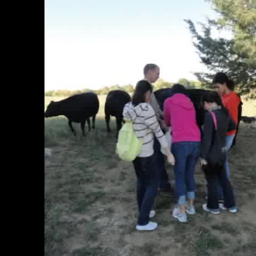 An Outing - Saturday Oct 1