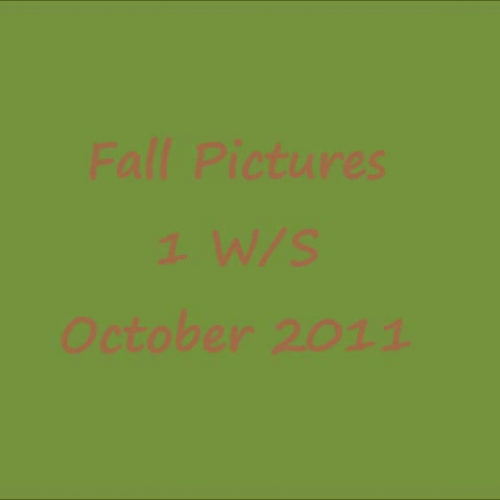 Fall Pictures 1 WS