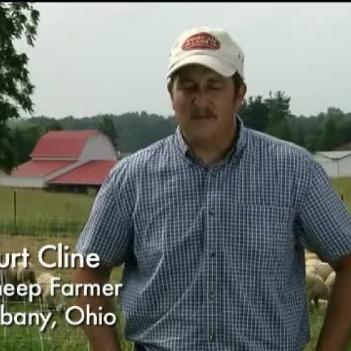 Meet an Ohio Sheep Farmer