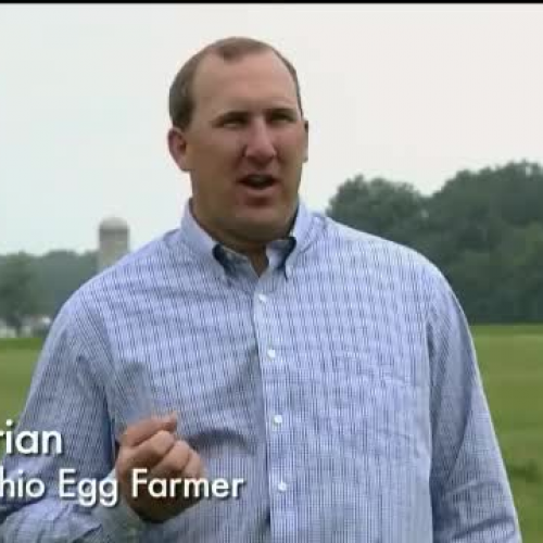 Meet an Ohio Egg Farmer