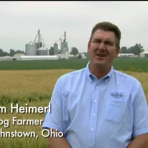 Meet an Ohio Hog Farmer