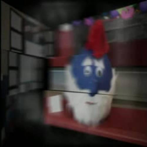 2011 Pumpkin Contest