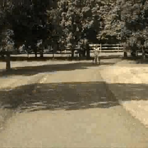 Wizard of Oz Present Tense Review