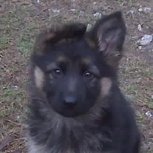 Do I Make You Proud?