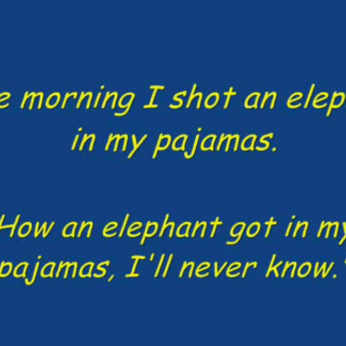 Marx-Elephant Pajamas