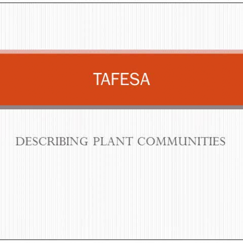 Vegetation classification