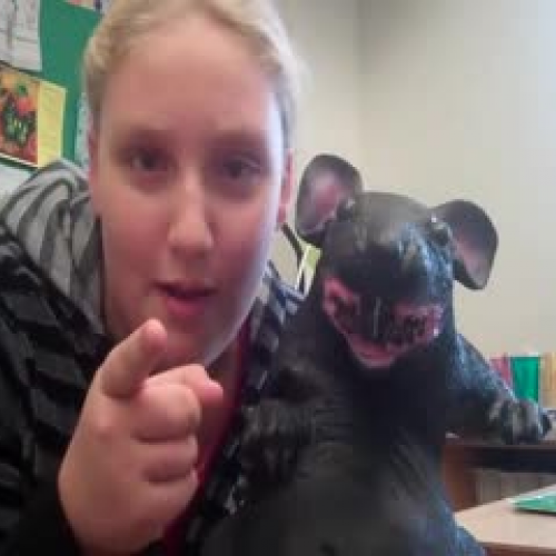 6th Grade, First District