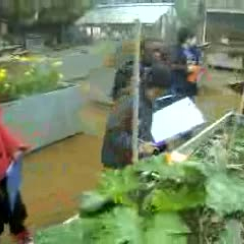 Thompson Class creating a pickle