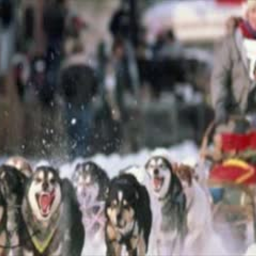 Woodsong Trailer by IA