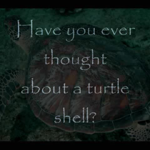 Thirteen Moons on Turtle's Back