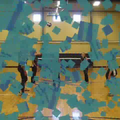 Character Trait: Kindness