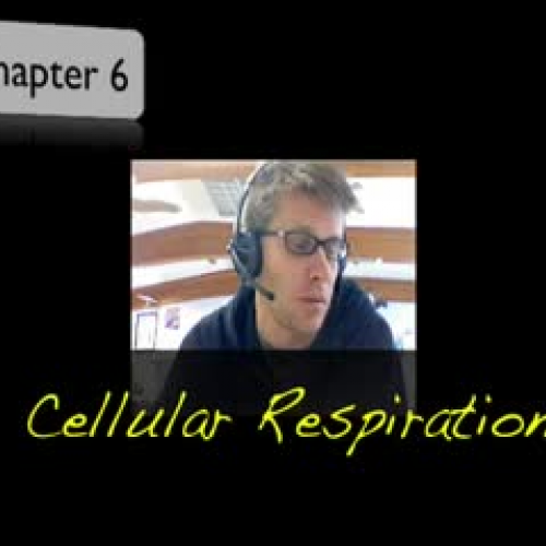 Cellular Respiration - Bozeman Biology