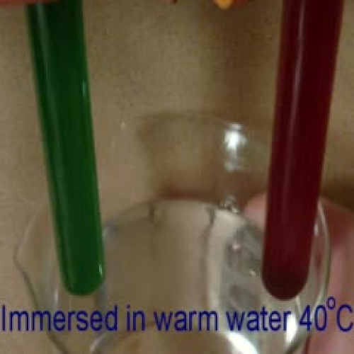 expansion of liquids