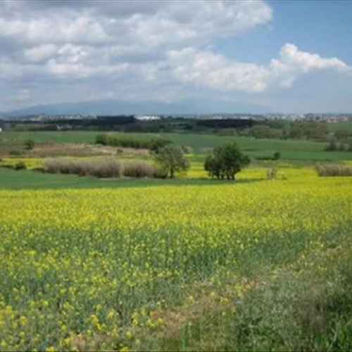 Paisaje Rural o Urbano