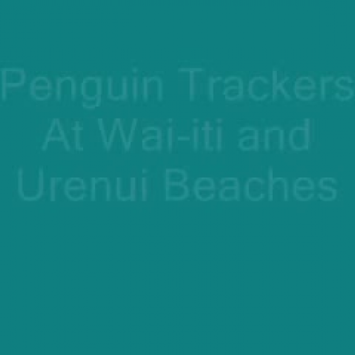 Penguin Trackers