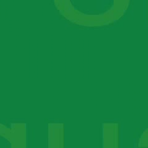 Penguin Experience II