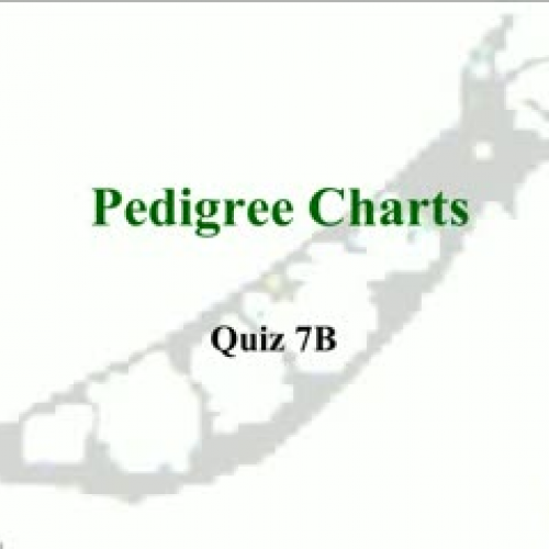 Pedigree Charts