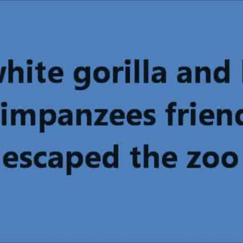 The White Gorilla and the Three Chimpanzees..