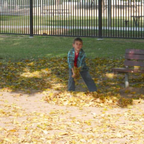 Looking Back Nov. 28 to Dec. 9