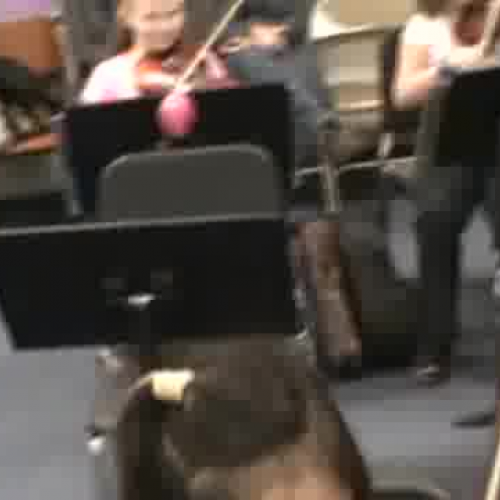 BO 4A Allegro Dec 2011