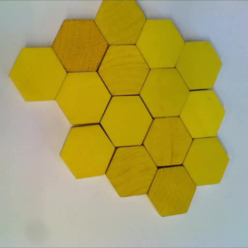 Pattern Blocks-The Bees
