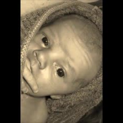 A Day in the Life of Max