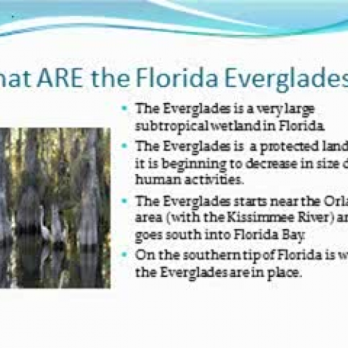 Everglades