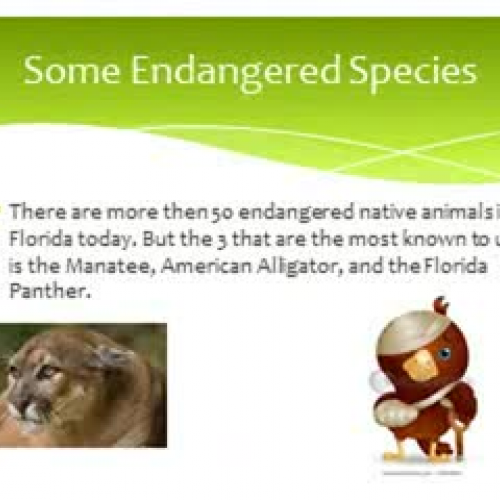 Native Florida Animals